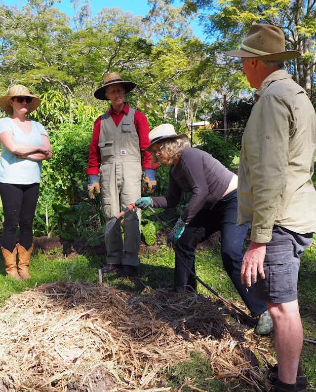 Timber Kitchens Restorations Sydney