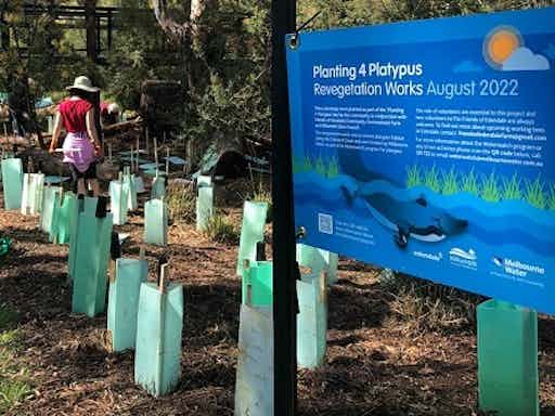 Community Planting Day