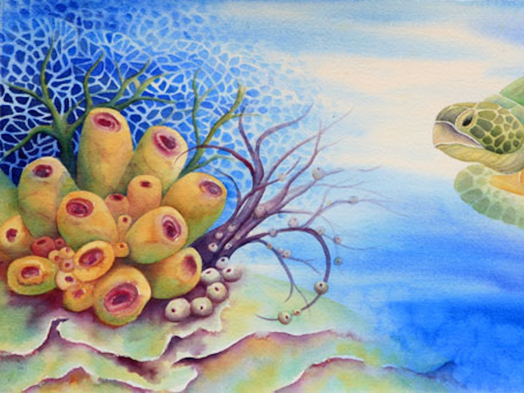 Watercolours Great Barrier Reef (holiday program)