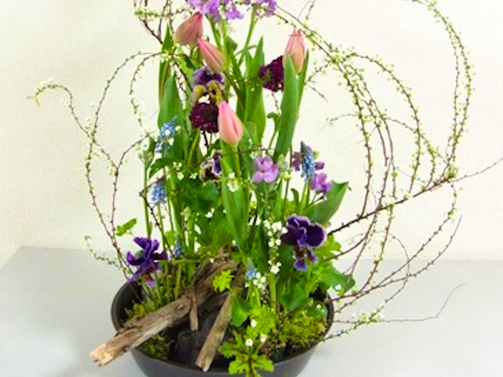 Flower-healed-web-