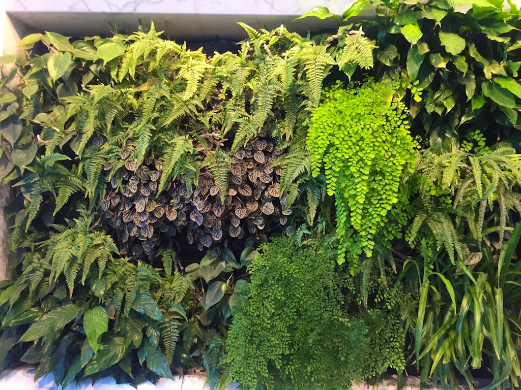 how-to-design-the-perfect-vegetable-garden-for-any-space-throughout-vertical-vegetable-garden-design
