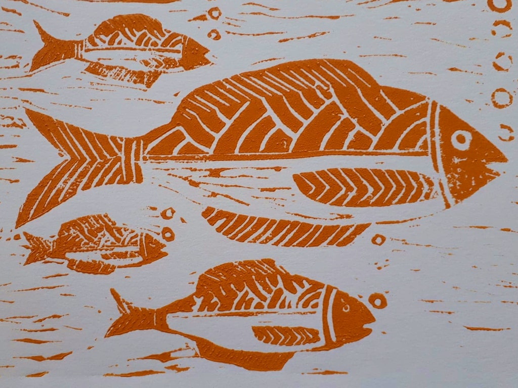 47577570_330253121130646_2219037300640186368_n