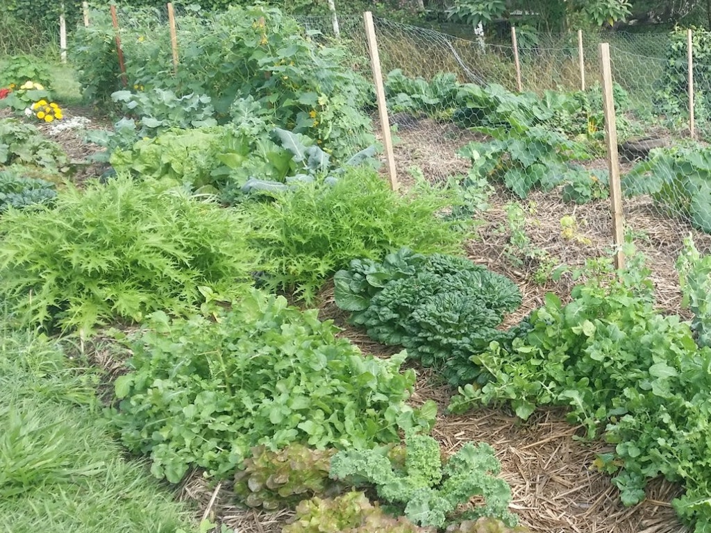 Biodynamic gardening course - 8 afternoons