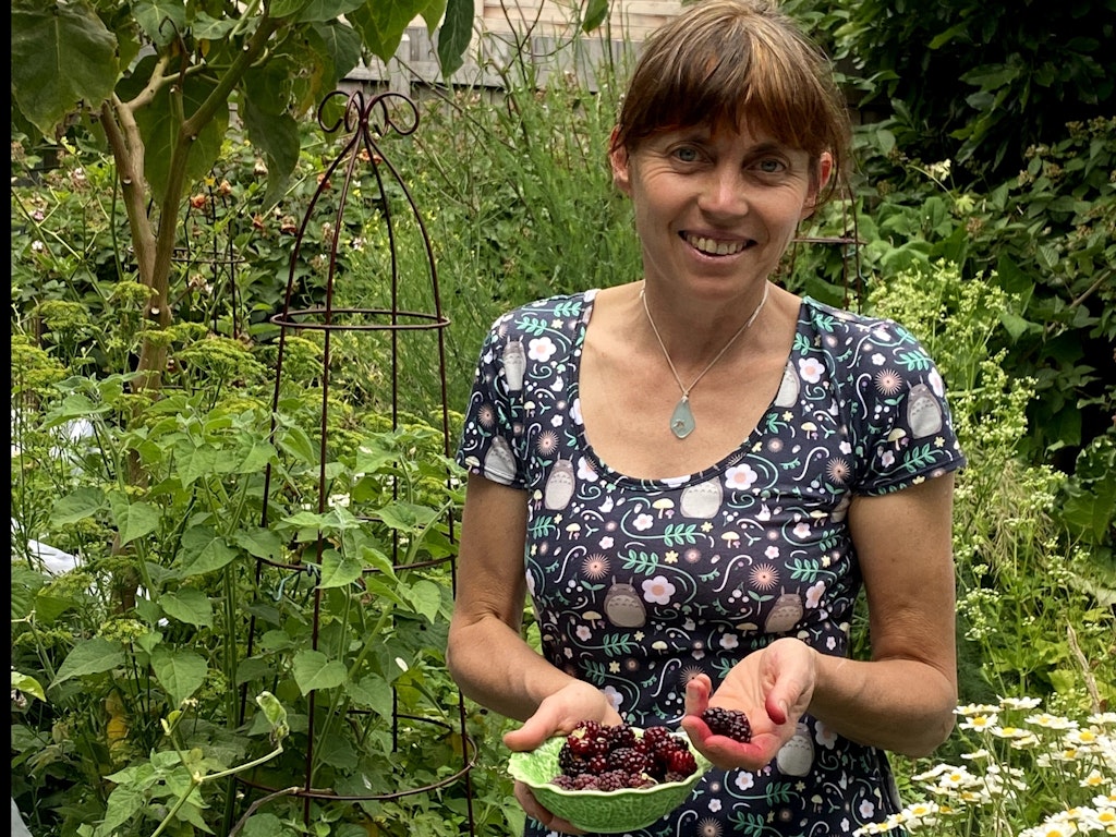 Simple growing at home - vegetables and fruit