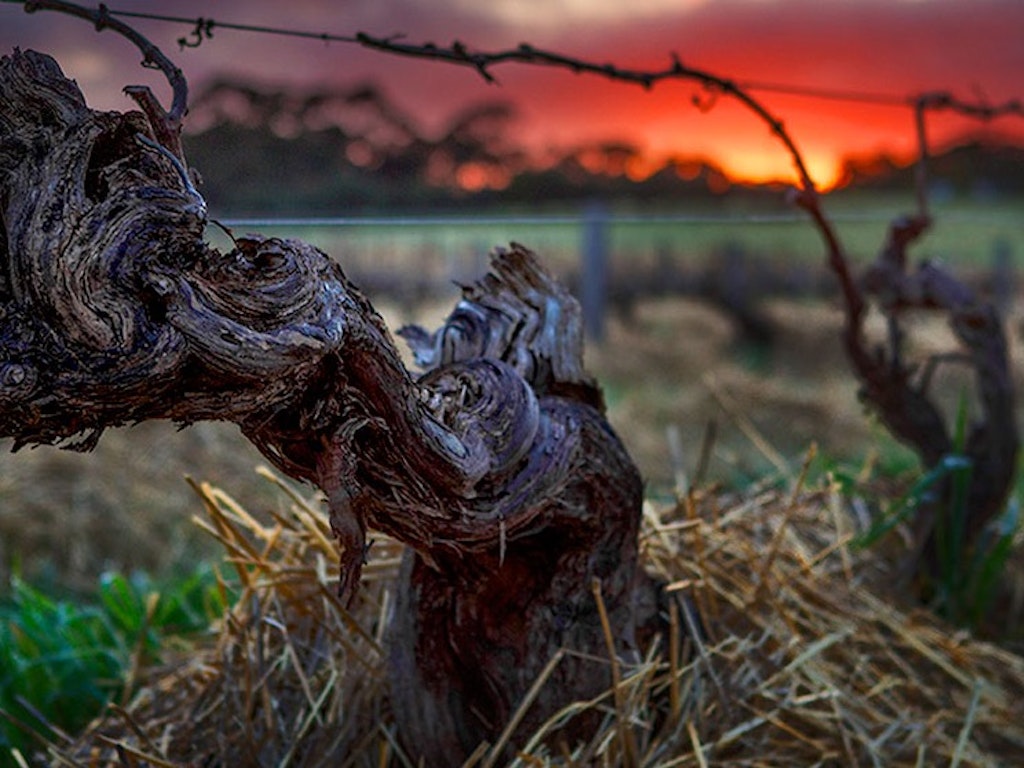Henschke Wine Dinner
