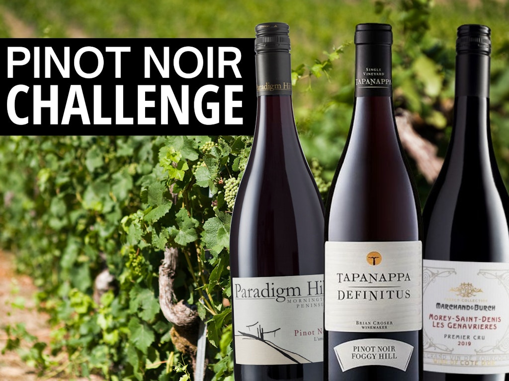 Pinot Noir Challenge: Blind Taste 12 Premiums!