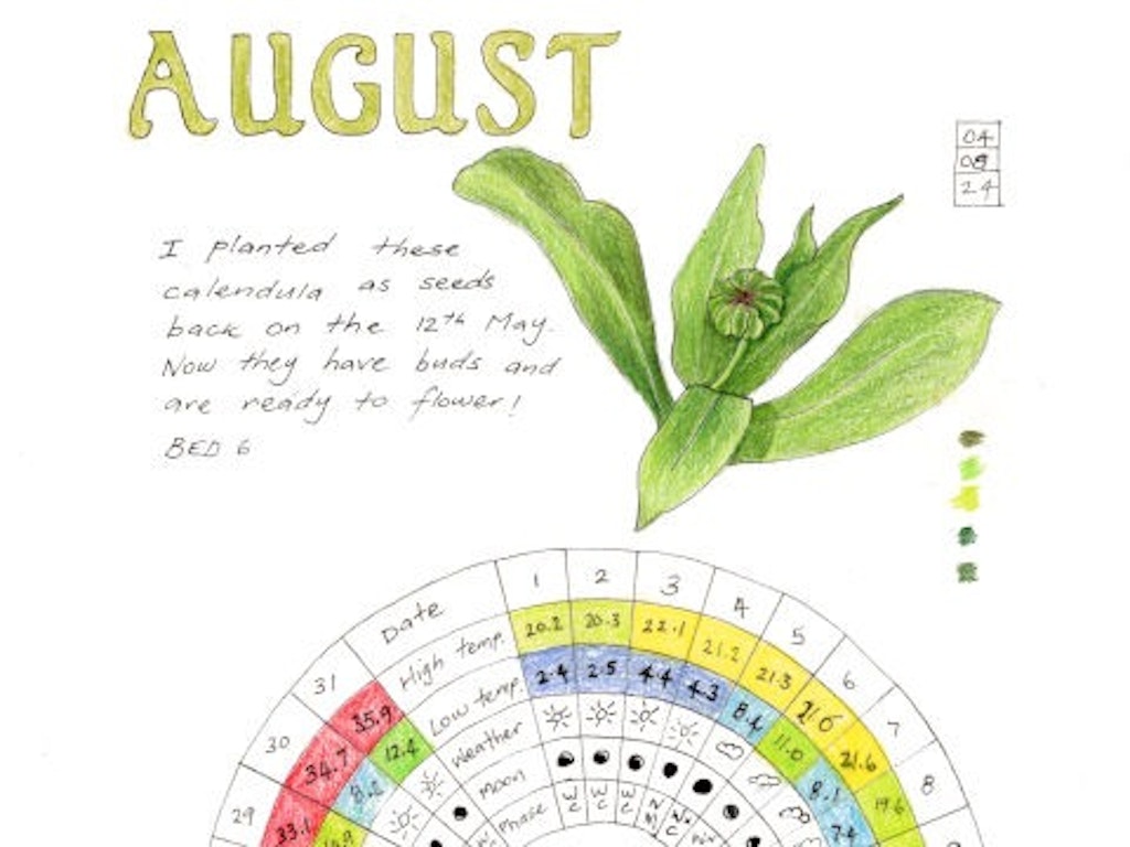 Night Garden Journaling | Discover Nature After Dark