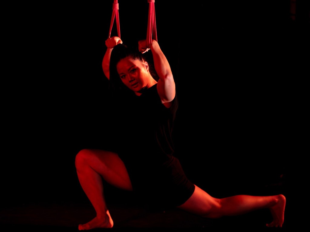 Straps Strength Building: All Levels Aerial (Morningside)