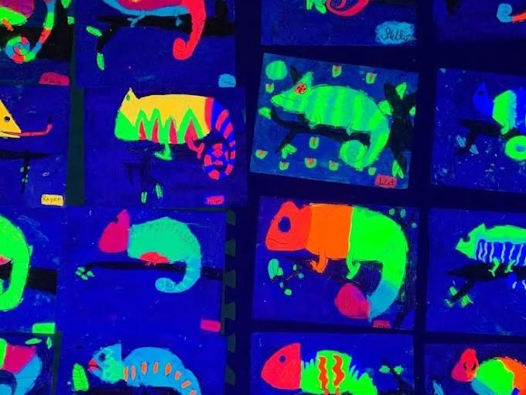 Glow in the Dark - Chameleons