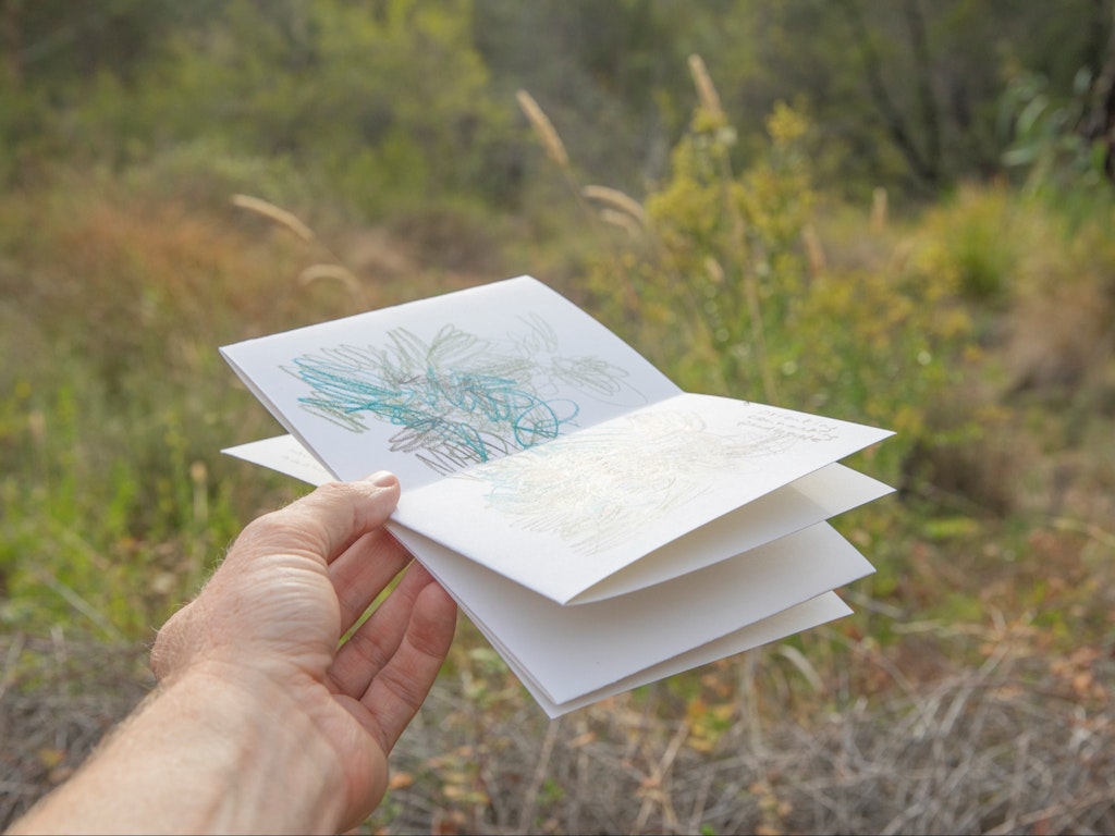 Unique Eco-drawing Workshop Experience - Edendale Farm