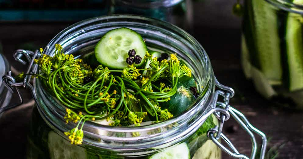 Beyond Trendy: 4 Great Reasons to Eat Fermented Foods