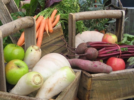 Growing Fruit & Veggies in Small Spaces at Bulleen Art and Garden