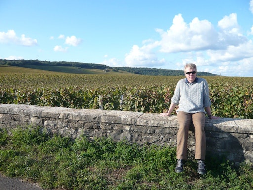 At Romanee Conti, in the Côte de Nuits subregion of Burgundy, France, with Pinot noir as the primary grape variety (September 2011)